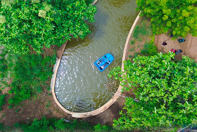 Enjoy Boating Amidst Nature