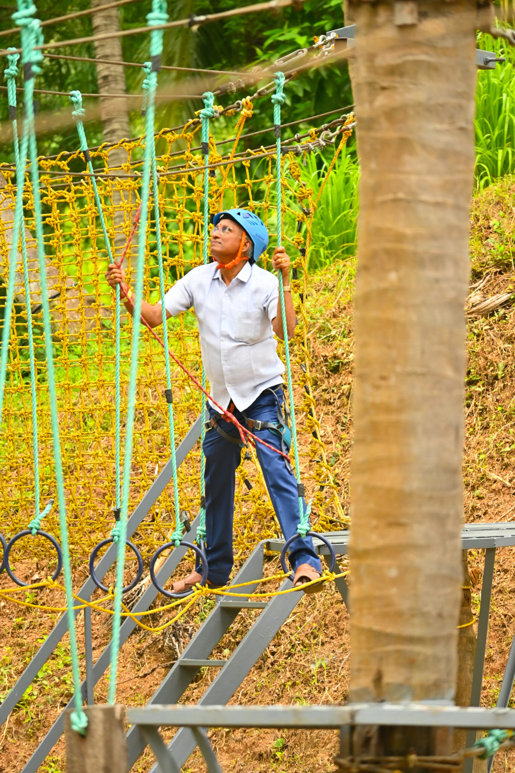 Image link